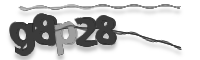 Ellenőrző kód
